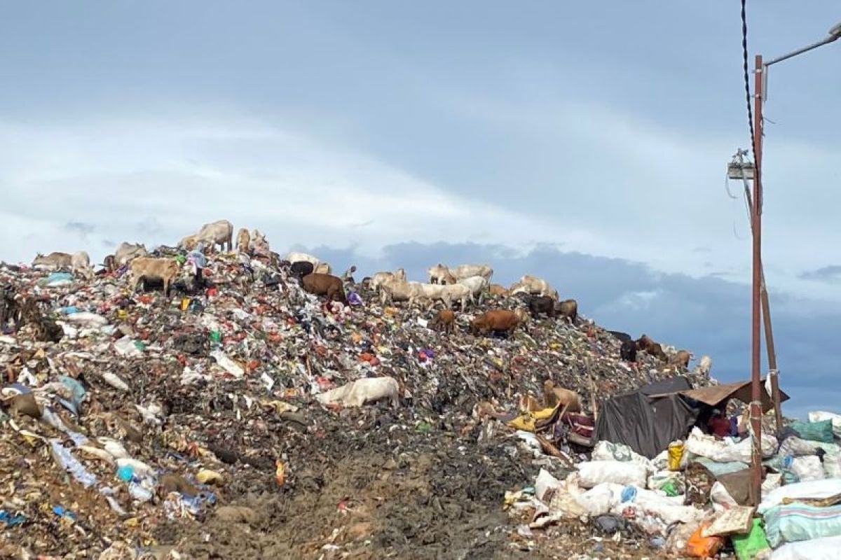 Wali Kota Makassar menutup Jelajah Sampah Makassar di Tamalanrea